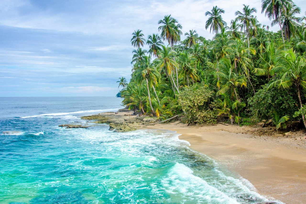 Palmy na pláži v Karibiku