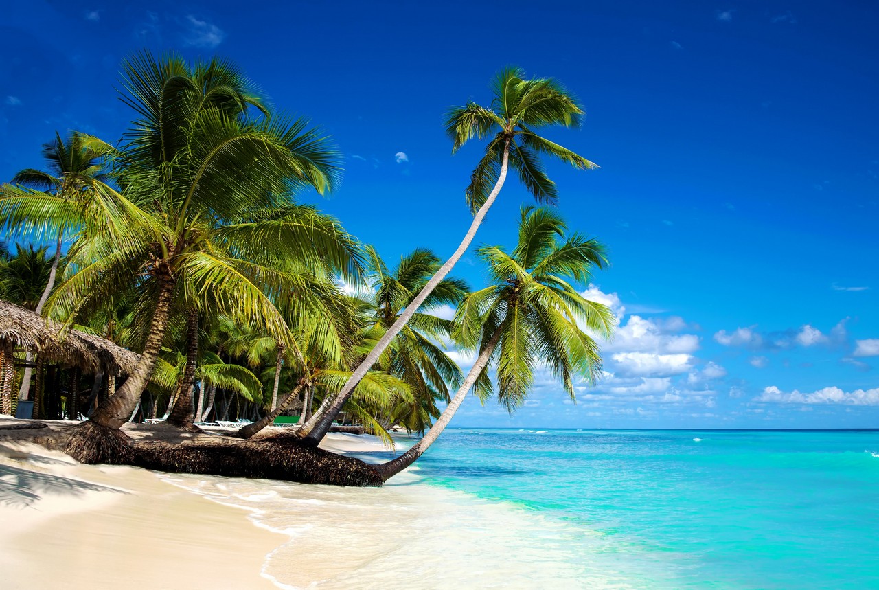 Osamělá písečná pláž v Karibiku
