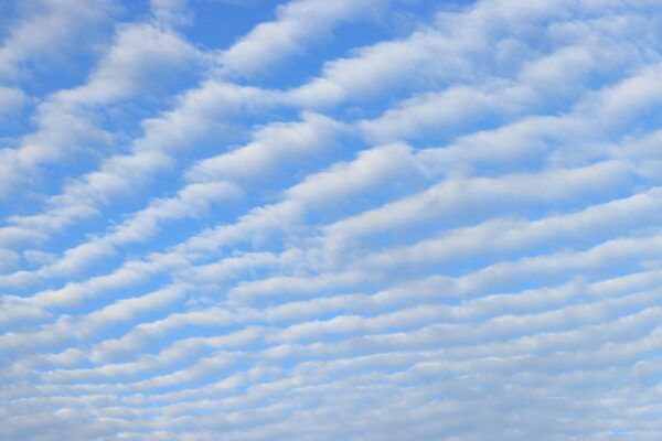 Altocumulus