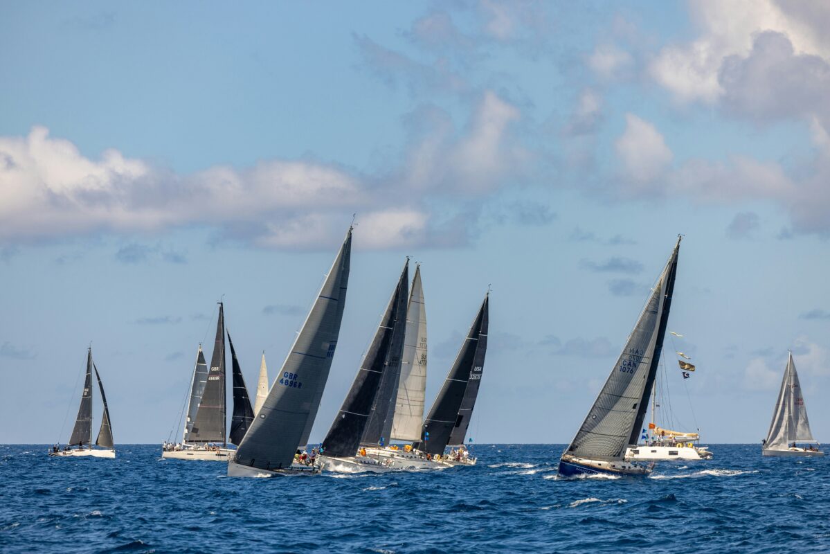 Plachetnice na regatě pro zkušené i začátečníky