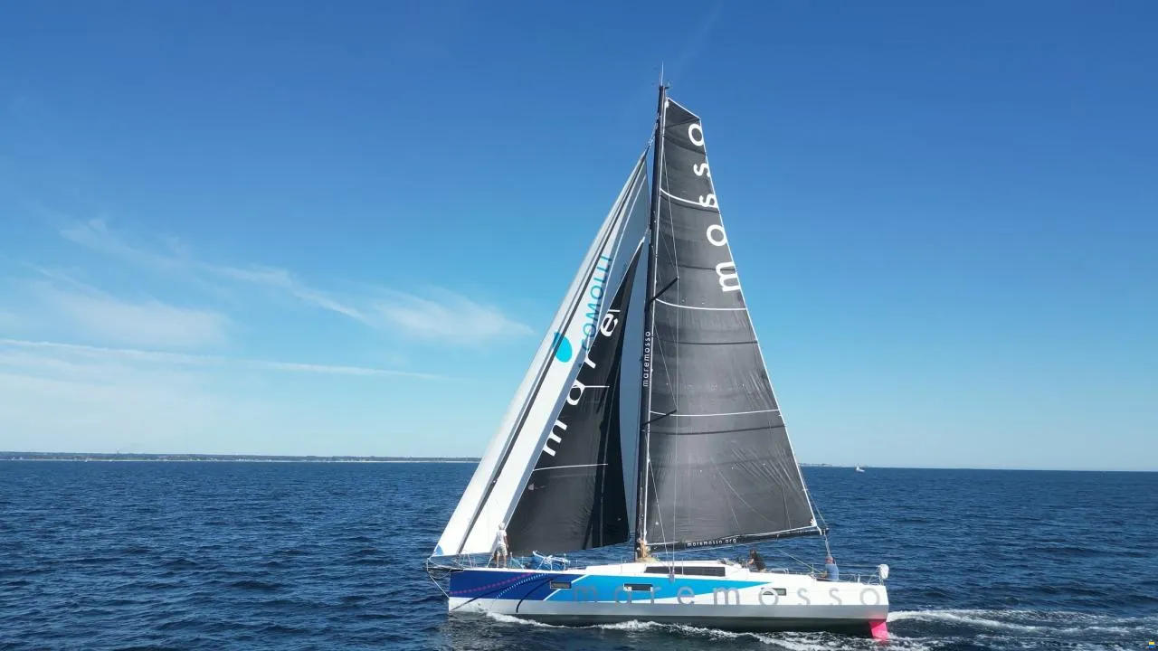 Pogo 50 za plavby